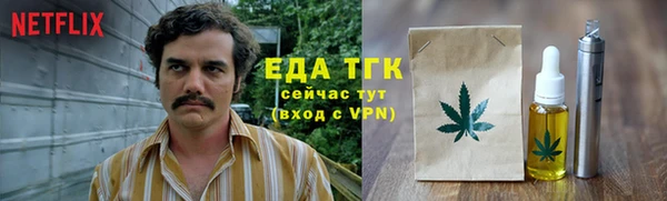 индика Балабаново