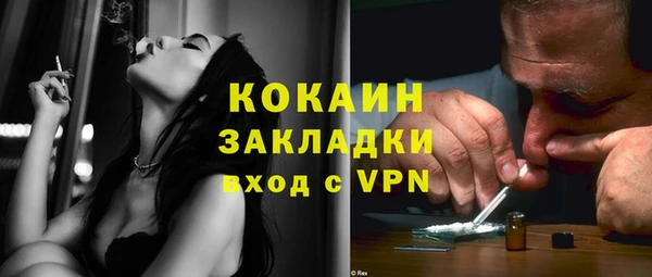 шишки Пестово