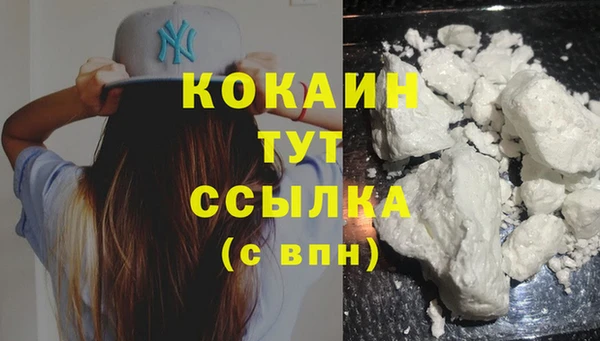 сатива Баксан