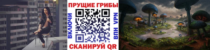 Галлюциногенные грибы Magic Shrooms  как найти закладки  Курлово 