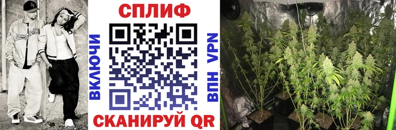 darknet состав  Курлово  Канабис THC 21% 